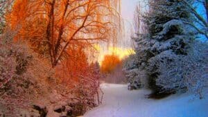 Blog - Ontsnap aan de winter: Warme wellness bestemmingen